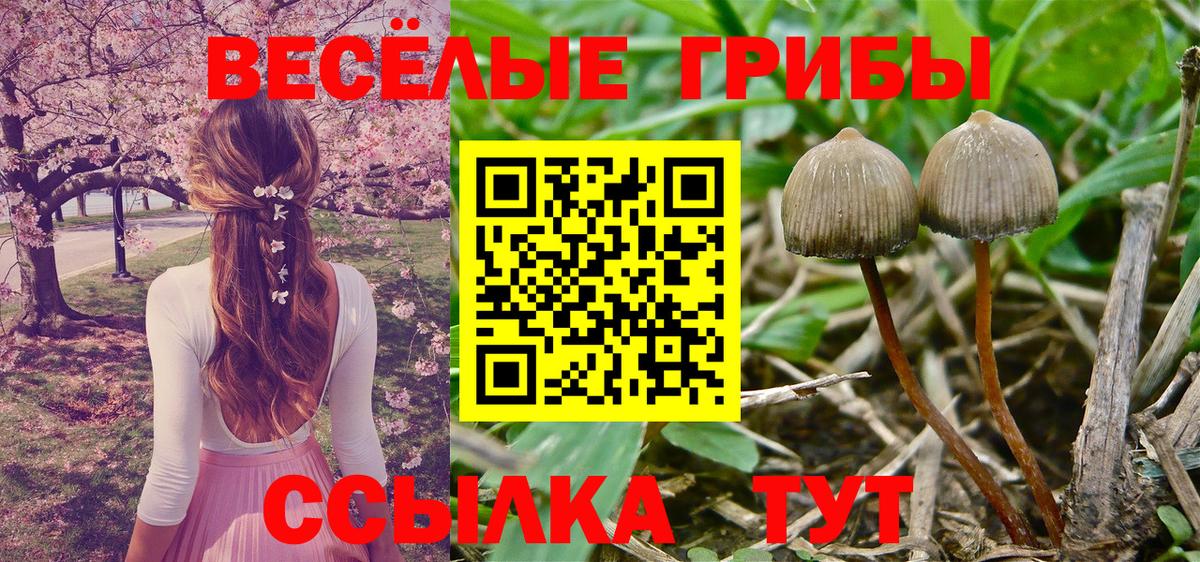 Псилоцибиновые грибы MAGIC MUSHROOMS  сколько стоит  Вход с VPN  Тула  Галлюциногенные грибы мухоморы 